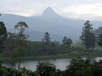 Adam's Peak from Maskeliya