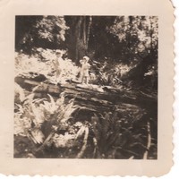 Eric and Bruce in the woods below the Tillamook house