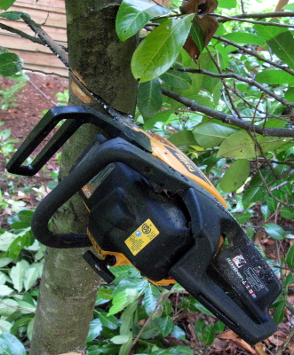 Chain saw stuck in tree