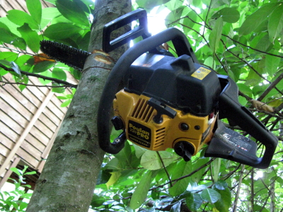 Chain saw stuck in tree