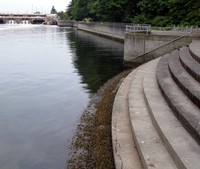 Ballard Locks steps