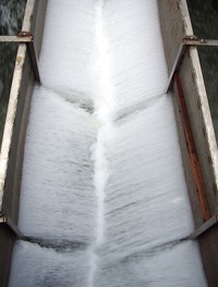 Ballard Locks water