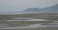 Bay Ocean beach