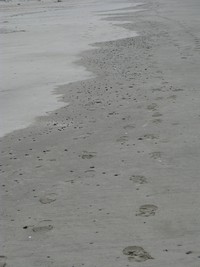 Bay Ocean sand