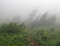 Bear Gap