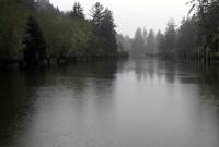 Blue Slough