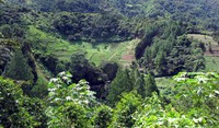 Boquete countryside