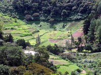 Boquete countryside
