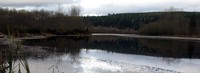 Borst Lake