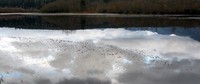 Borst Lake