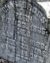 Carbonado graveyard