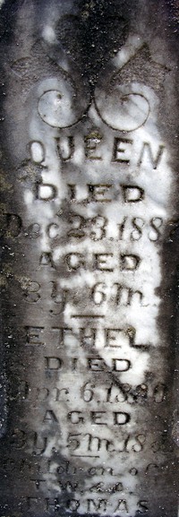 Carbonado graveyard