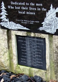 Carbonado graveyard