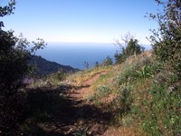 Cone Peak lookout trail