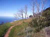Cone Peak lookout trail