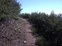 Cone Peak lookout trail