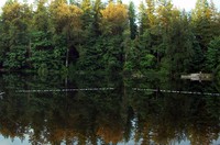 Deep Lake