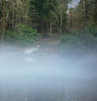 Deep Lake