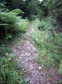 Dirty Harry's Peak trail