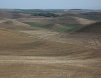 Eastern Washington farming volcano