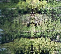 Echo Lake mirror