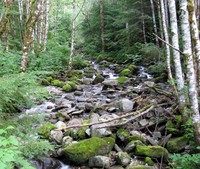 Granite Creek