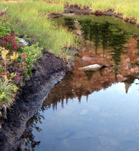 Granite Mountain pond