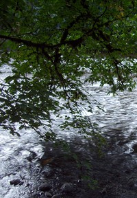 Green River