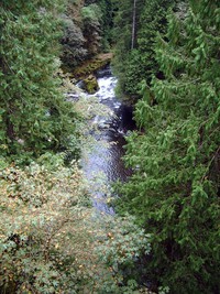 Green River Gorge