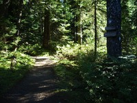 Kendall Katwalk trail September