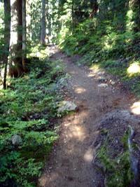 Kendall Katwalk trail September