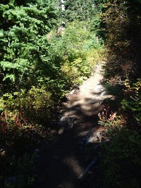 Kendall Katwalk trail September