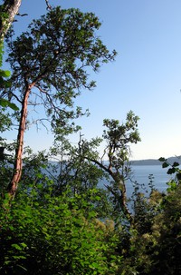 Marine View Park