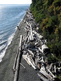 Marine View Park