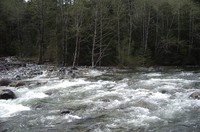 Middle Fork Snoqualmie