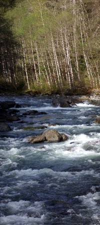 Middle Fork Snoqualmie
