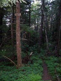 Millans Crossing