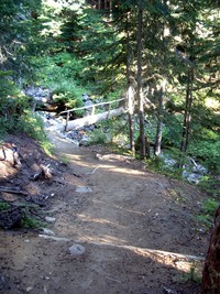 Mowich Lake to Spray Park Trail August