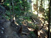 Mowich Lake to Spray Park Trail August