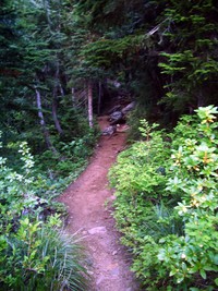 Mowich Lake to Spray Park Trail August
