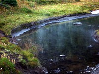 Mowich Lake to Spray Park Trail August