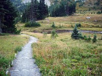 Mowich Lake to Spray Park Trail August