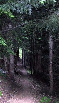 Mt Washington trail