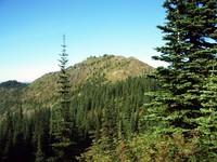 Noble Knob
