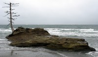 North Cove island