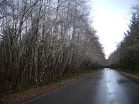 imgp2773