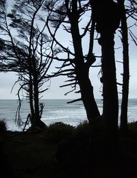 imgp2804