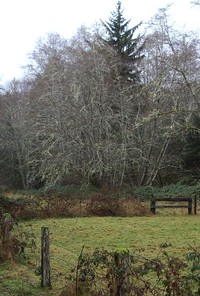 imgp2841