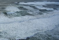Pacific waves