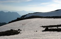 Paradise snow field
